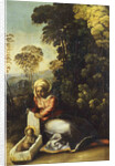 Madonna with Child (La Zingarella), c. 1513 by Dosso Dossi