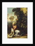 Madonna with Child (La Zingarella), c. 1513 by Dosso Dossi