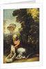 Madonna with Child (La Zingarella), c. 1513 by Dosso Dossi