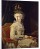 Portrait of Maria Amalia of Austria, Duchess of Parma by Domenico Muzzi
