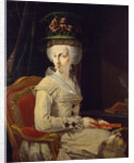 Portrait of Maria Amalia of Austria, Duchess of Parma by Domenico Muzzi