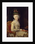 Portrait of Maria Amalia of Austria, Duchess of Parma by Domenico Muzzi