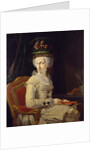 Portrait of Maria Amalia of Austria, Duchess of Parma by Domenico Muzzi