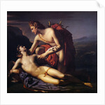 Apollo and Cyparissus, 1820 by Claude Marie Paul Dubufe