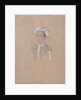 Portrait of Grand Duke Michael Nikolaevich of Russia, 1830-1840s by Alexandre de Valentini