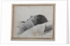 Dimitri Venevitinov on the deathbed, 1827 by Konstantin Yakovlevich Afanasyev