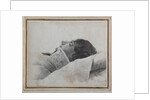Dimitri Venevitinov on the deathbed, 1827 by Konstantin Yakovlevich Afanasyev