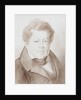 Portrait of Alexander Ivanovich Turgenev, 1833 by Georg Christian August Kestner