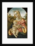 Virgin and Child, ca 1487-1488 by Davide Ghirlandaio