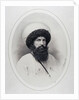 Portrait of the Imam Shamil, 1859 by Andrei Deniere