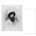 Portrait of the Imam Shamil, 1859 by Andrei Deniere