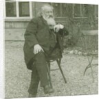 Portrait of the composer Johannes Brahms, 1894 by Maria Fellinger