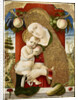 Virgin and Child, 1482-1483 by Carlo Crivelli