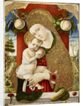 Virgin and Child, 1482-1483 by Carlo Crivelli