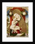 Virgin and Child, 1482-1483 by Carlo Crivelli