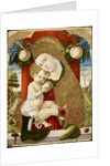 Virgin and Child, 1482-1483 by Carlo Crivelli
