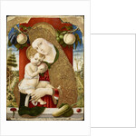 Virgin and Child, 1482-1483 by Carlo Crivelli