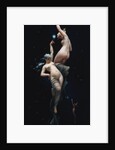 Moonlit Beauties by Luis Ricardo Faléro