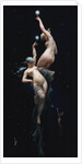 Moonlit Beauties by Luis Ricardo Faléro