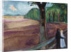Summer Night (Sommernatt), 1917 by Edvard Munch