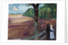 Summer Night (Sommernatt), 1917 by Edvard Munch