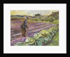 The sower, 1913 by Edvard Munch
