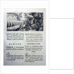 Nakaz (Instructions) of Catherine the Great to the Legislative Commission of 1767, 1767 by Historical Document