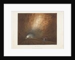 The Tunnel by Thomas Talbot Bury