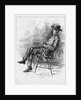 Portrait of Benjamin Peter Old Hutch Hutchinson, 1890 by Arthur Jule Goodman