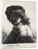 Self-Portrait in a Cap and Scarf with the Face Dark, 1633 by Rembrandt van Rhijn