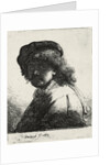 Self-Portrait in a Cap and Scarf with the Face Dark, 1633 by Rembrandt van Rhijn