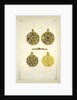 Russian Jewellery before the Mongol invasion by Fyodor Grigoryevich Solntsev