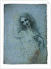 The Angel in the Flesh, ca 1514 by Leonardo da Vinci