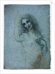 The Angel in the Flesh, ca 1514 by Leonardo da Vinci