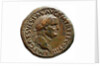 Sestertius of Vespasian, 71 AC by Ancient Coins Numismatic