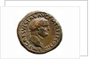 Sestertius of Vespasian, 71 AC by Ancient Coins Numismatic