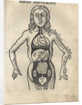 Margarita Philosophica. Anatomy, 1504 by Gregor Reisch