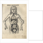 Margarita Philosophica. Anatomy, 1504 by Gregor Reisch