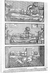Illustration from Liber canonis de medicinis cordialibus by Avicenna, 1556 by Anonymous