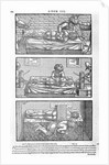 Illustration from Liber canonis de medicinis cordialibus by Avicenna, 1556 by Anonymous