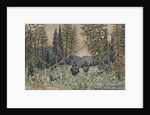 Hunters on horseback in a pine forest by Appolinari Mikhaylovich Vasnetsov