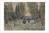 Hunters on horseback in a pine forest by Appolinari Mikhaylovich Vasnetsov