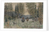 Hunters on horseback in a pine forest by Appolinari Mikhaylovich Vasnetsov