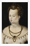 Portrait of a young lady. An Allegory of Beauty, c. 1580 by Anonymous