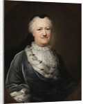 Portrait of Elisabeth Sophie Marie, Princess of Brunswick-Wolfenbüttel, 1747 by Balthasar Denner