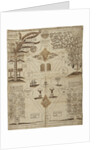 Arbor Cabalistica (Kabbalistic Tree), ca 1625 by Anonymous