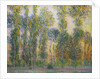 Poplars at Giverny, 1887 by Claude Monet