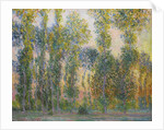 Poplars at Giverny, 1887 by Claude Monet