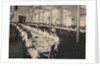 Pupils of the Smolny Institute for Noble Maidens in the canteen, 1889 by Anonymous