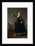 Portrait of Natalia Semenovna Borshcheva, 1776 by Dmitri Grigorievich Levitsky